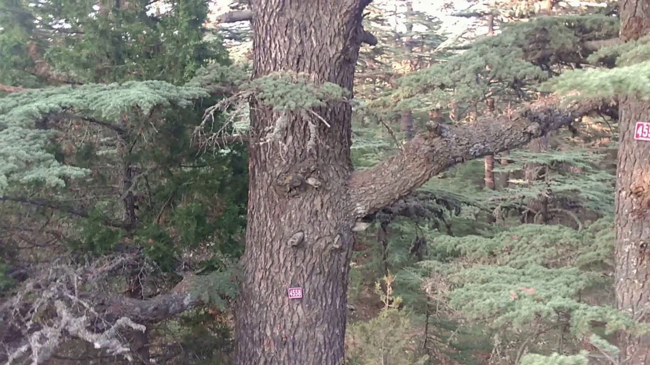 Kızıldağ milli parkı Şarkikaraağaç Isparta #muratçetin