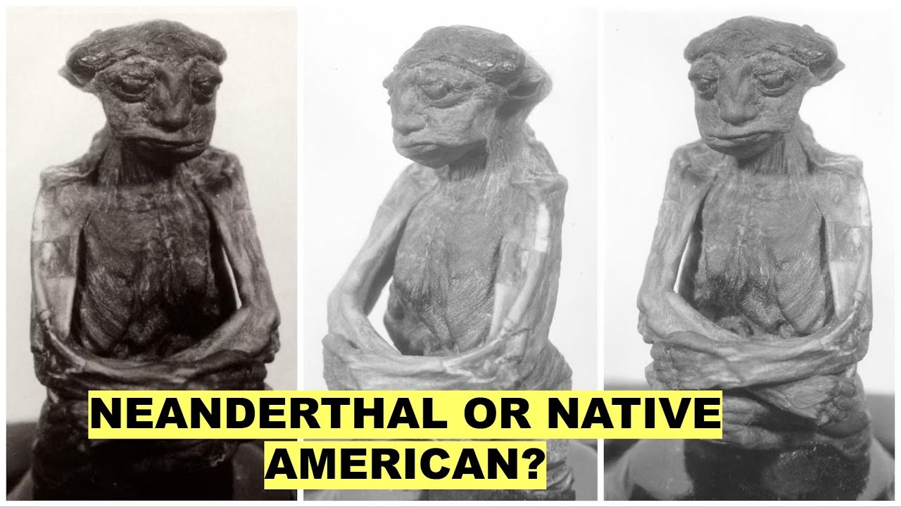 Mystery of the San Pedro Creature Found In A Wyoming Cave&ndash;Mummy So  Bizarre No One Knows What It Was