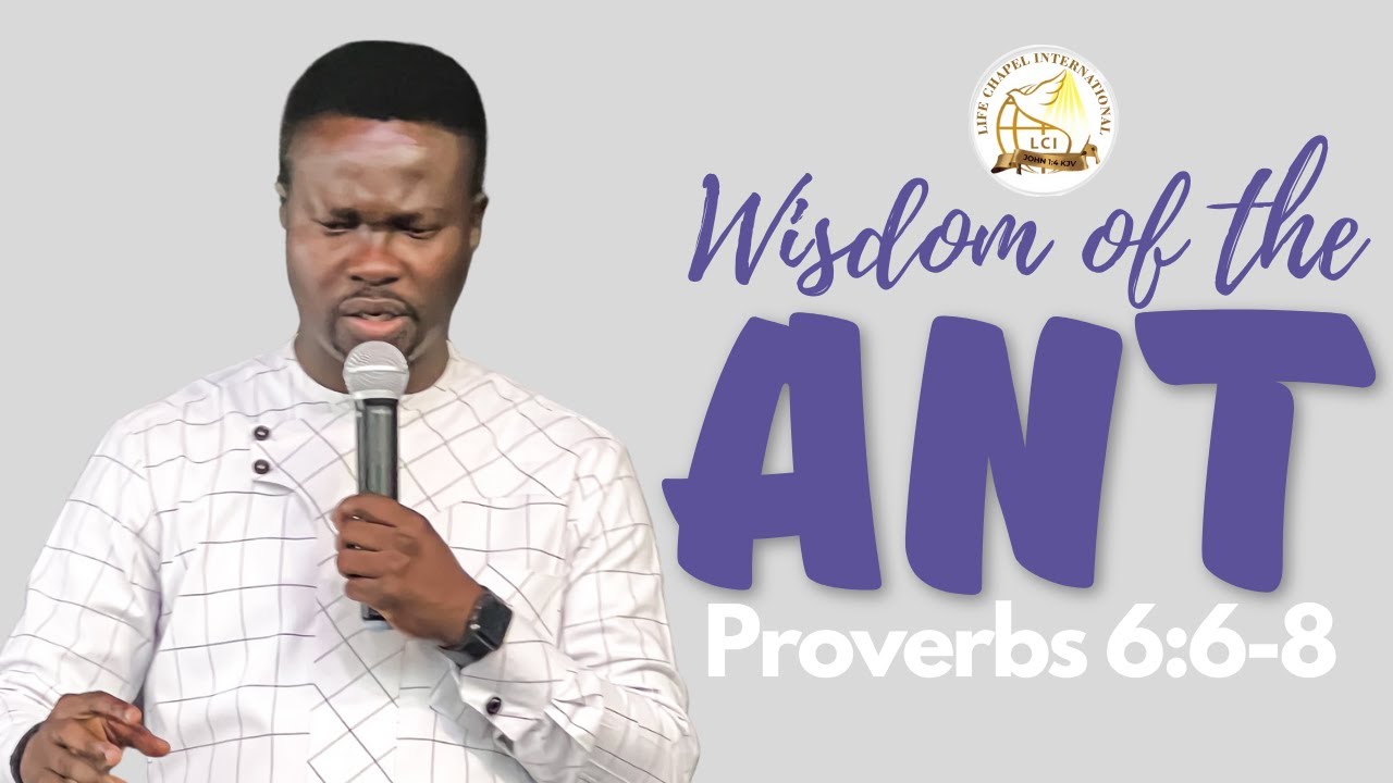 The Wisdom of the Ant | Prophet Richard Owusu