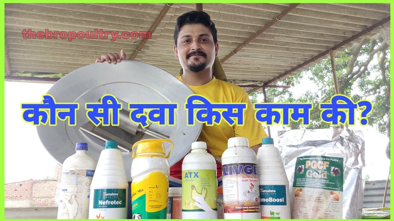 बारिश में पोल्ट्री की दवा - Poultry Farming in Monsoon Season | Broiler Farming barsat me - Poultry