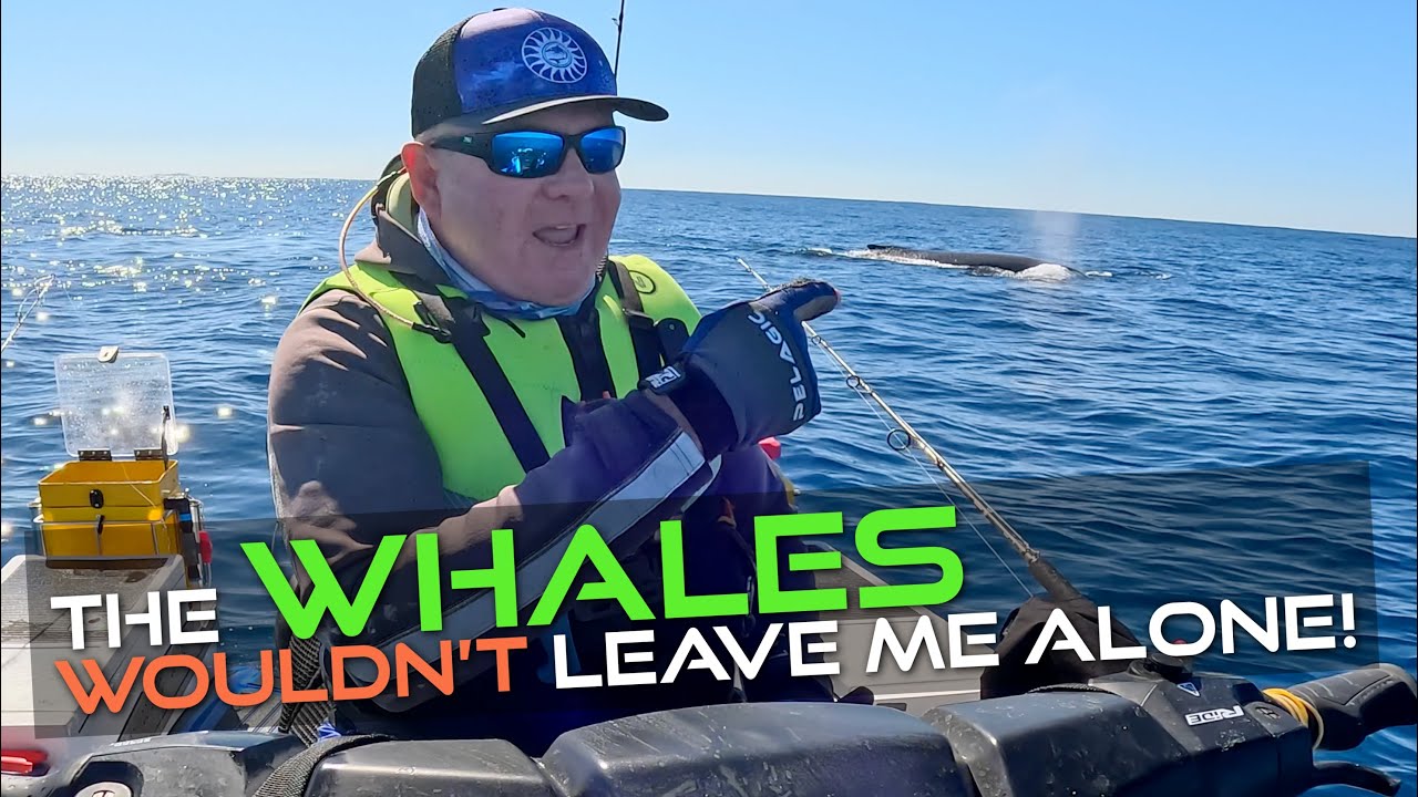 🎣  Whale Encounters when Fishing-  They Wouldn't Leave Me Alone!🐋