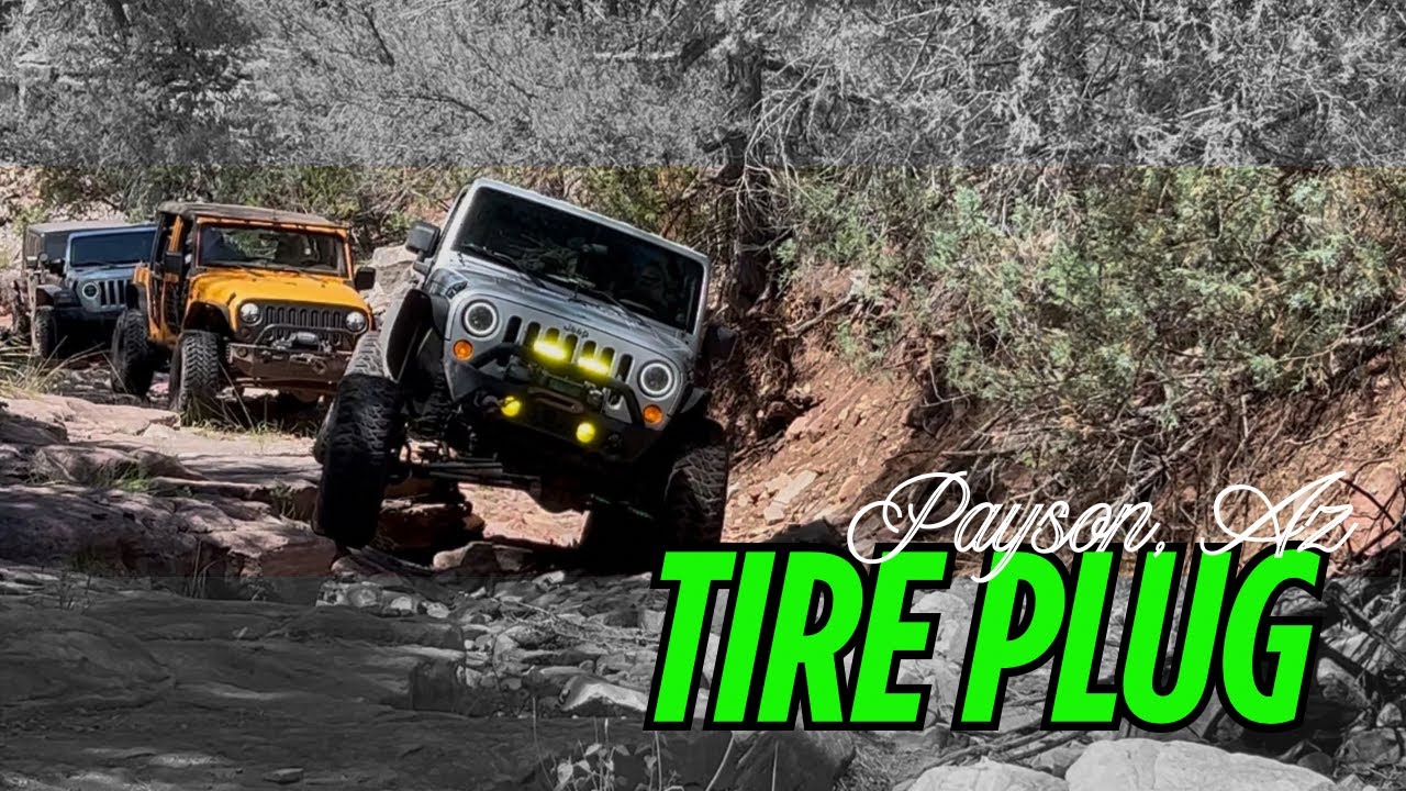 Tire Plug aka MIRROR MANGLER!