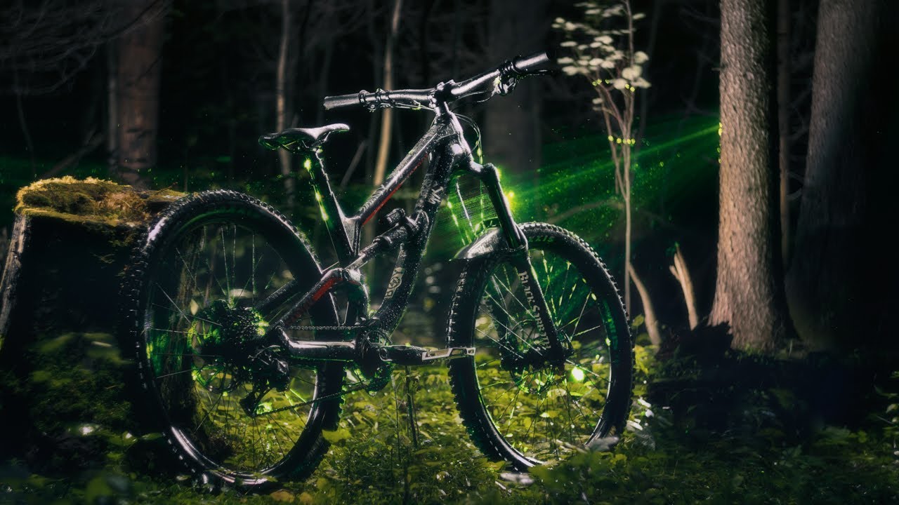 Байкчек моего Canyon Torque Al 5.0 2019