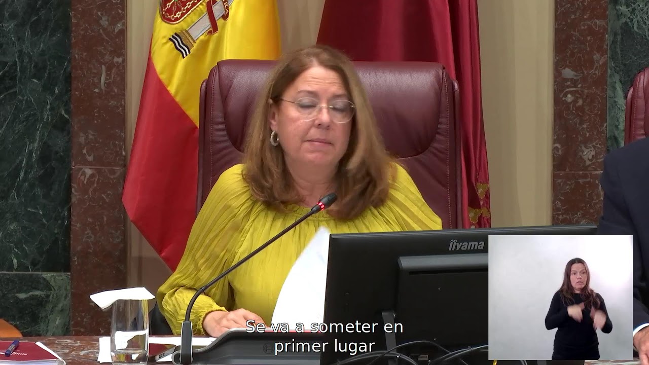 20260211 SESIÓN PLENARIA