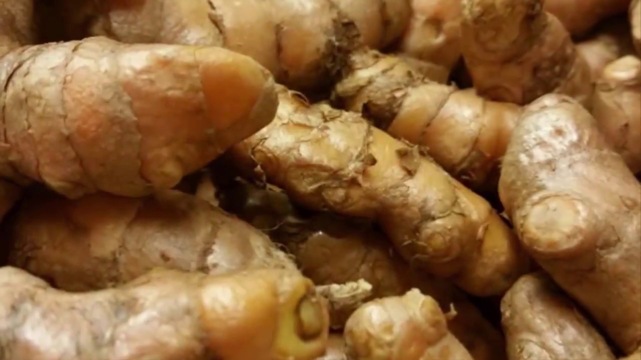 How To Plant White Curcuma (Turmeric) With Easy For Beginners
