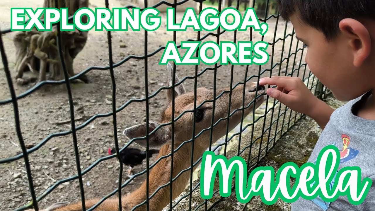Macela - This Zoo and Family Park is Free?! Lagoa, Azores