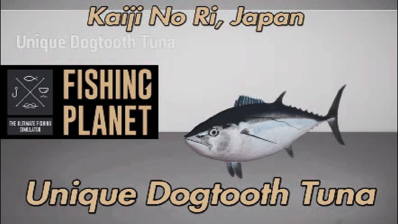 Fishing Planet Уникальный клыкозубый тунец Путеводитель по Кайдзи Но Ри
