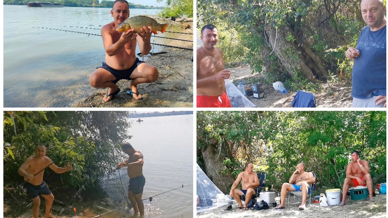 Pecanje šarana, soma i štuke(u pokušaju😁)..Dunav kod Smedereva, 29-31.07.2021.
