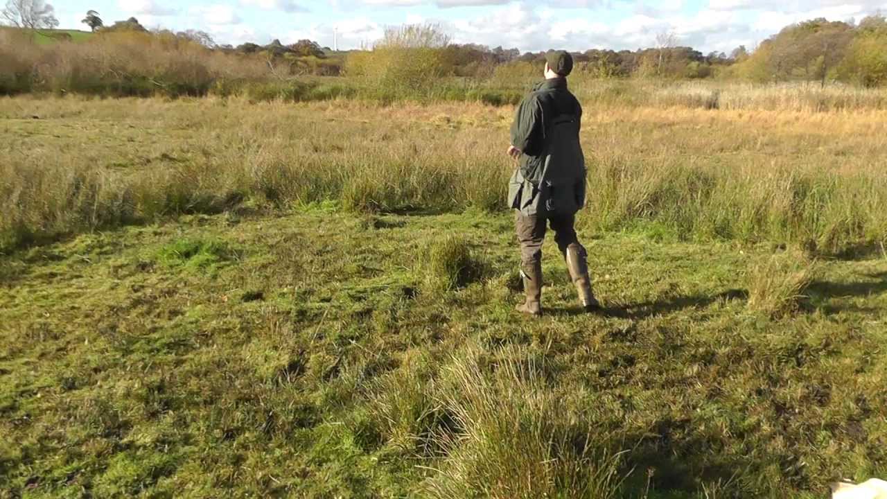 Dave Ross with Ravenshall Gundogs