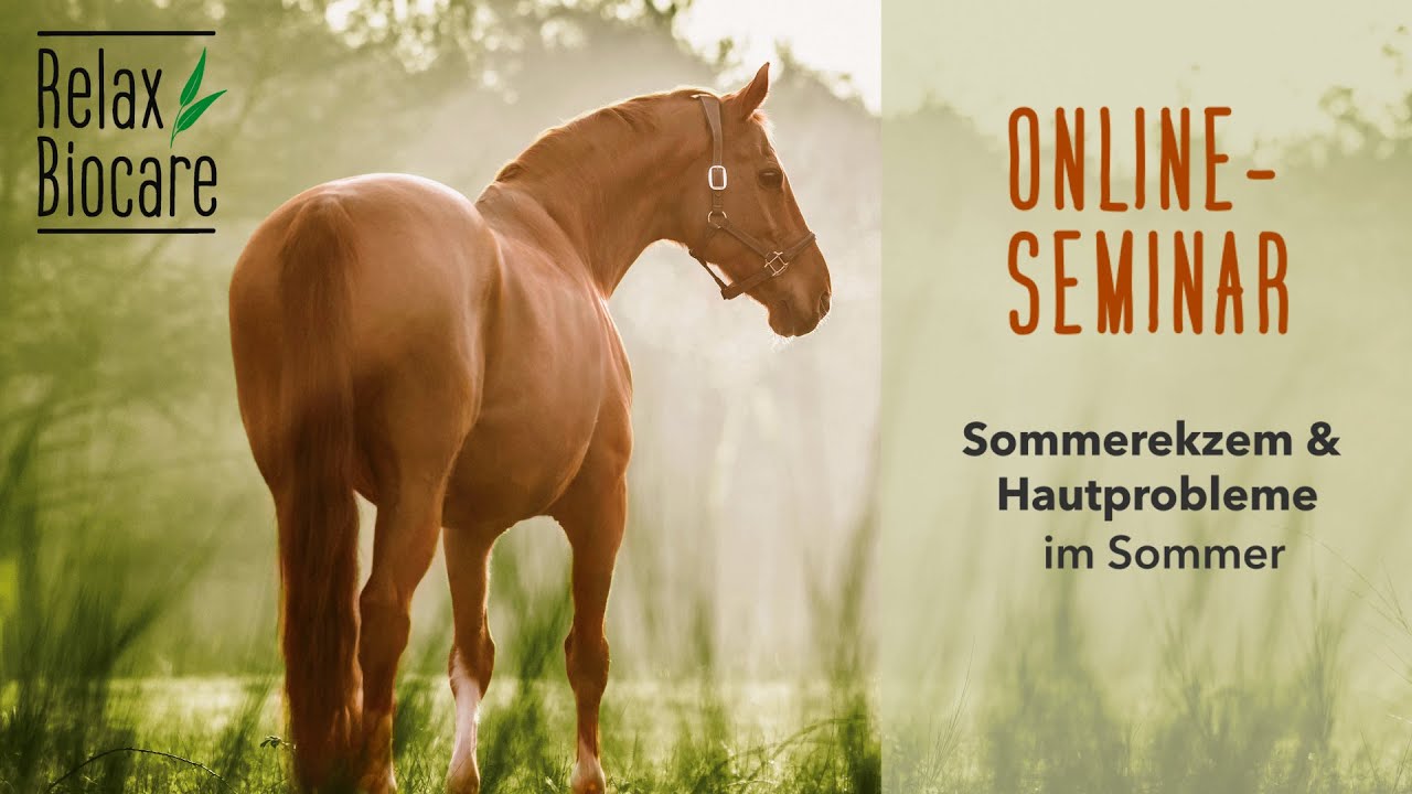 RelaxWissen: Sommerekzem und Hautprobleme