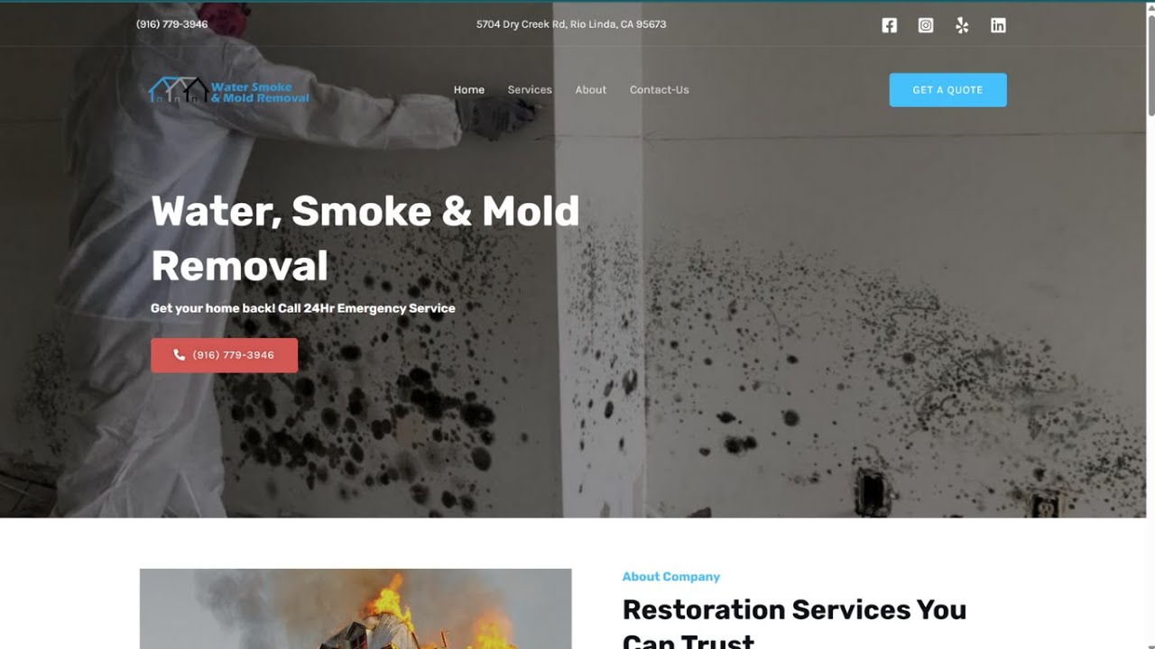 Water Smoke Mold Removal Online Audit | Peterson SEO
