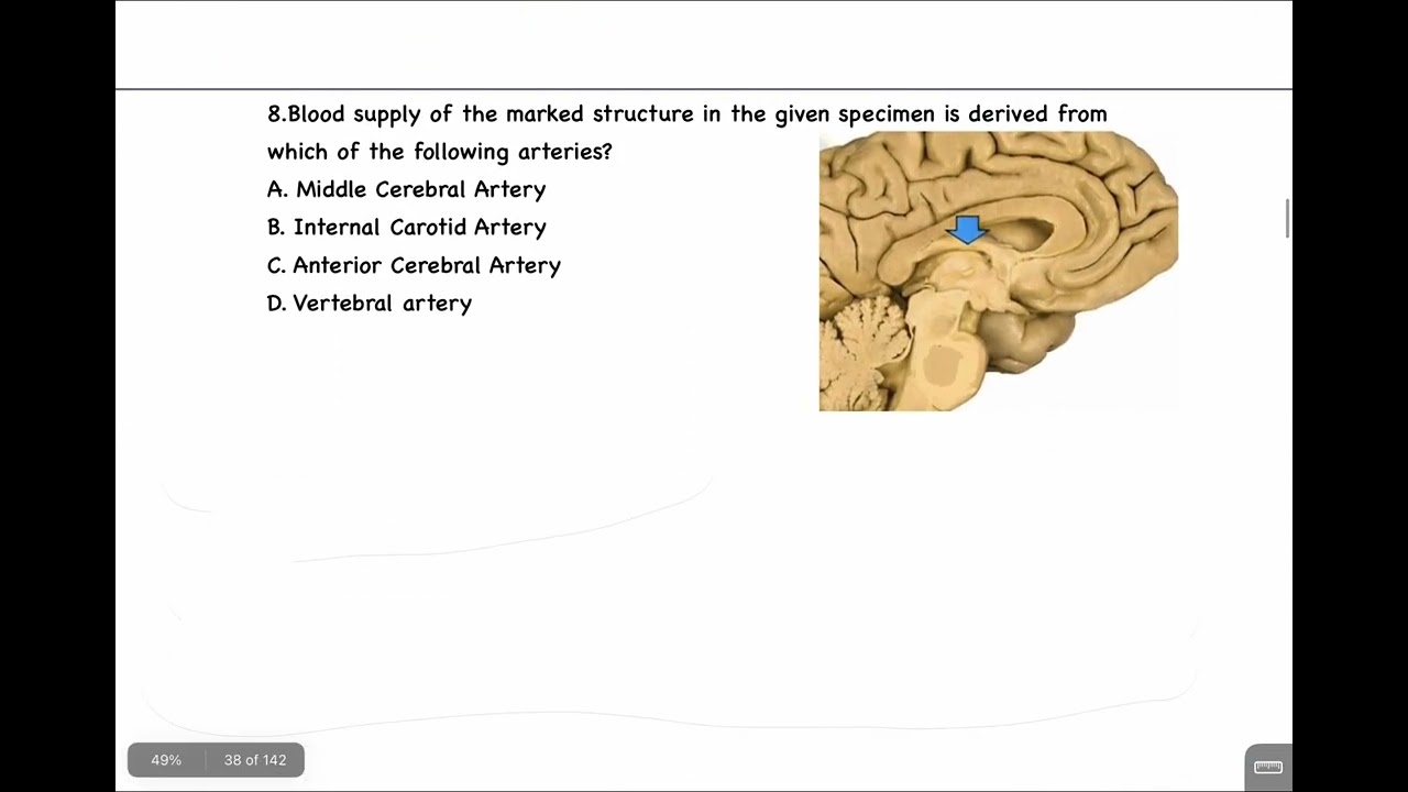 Anatomy PYQ Recall AIIMS 2019 (May + Nov.) #inicet #inicetrecall #aiims2019 #medicalentranceexam