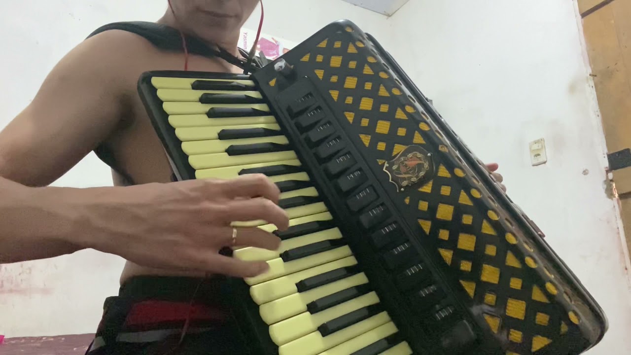 FORRÓ NA SANFONA - COVER MORENA NATTAN
