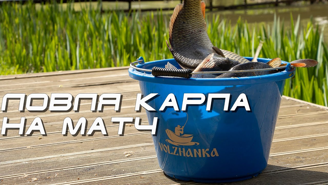 Ловля карпа на матч