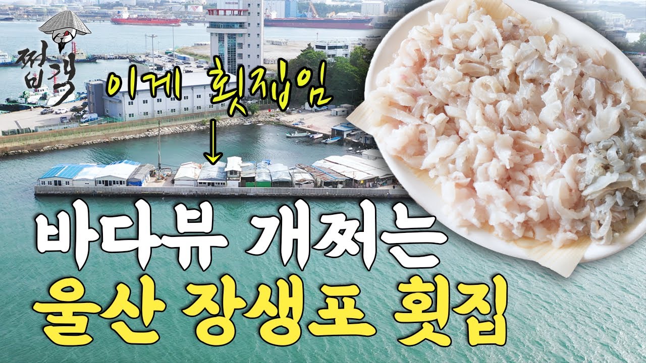 40년간 세꼬시로만 파는 장생포 횟집 [쩝객_울산] [The best Korea sashimi restaurant]