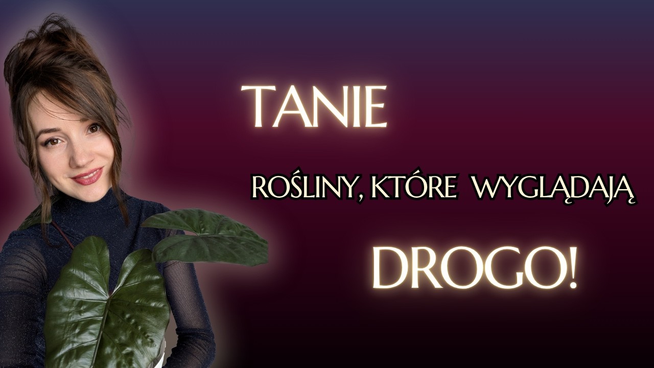 Luksusowy efekt za grosze! | Lista roslin 🌿