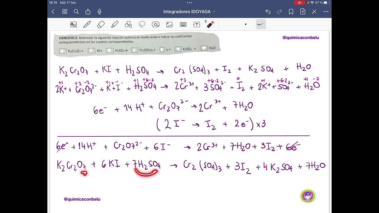Integrador Quimica IDOYAGA