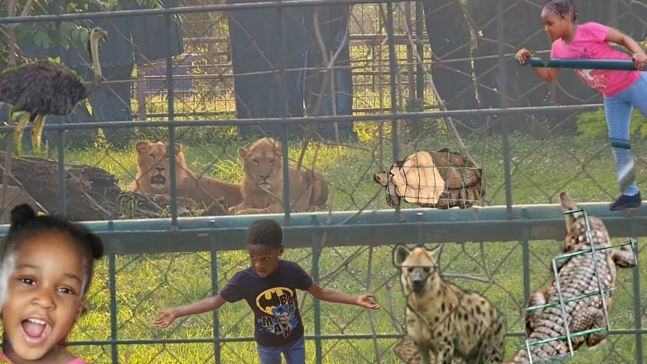 A TRIP to the ABUJA ZOO, Nigeria | UNEXPECTED Animals