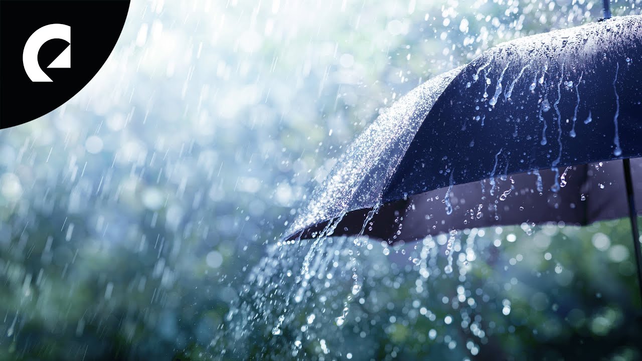 Rain Sound Effects - Top 10 Most Popular Royalty Free Rain Drops & Downpour Sound Effects for Videos