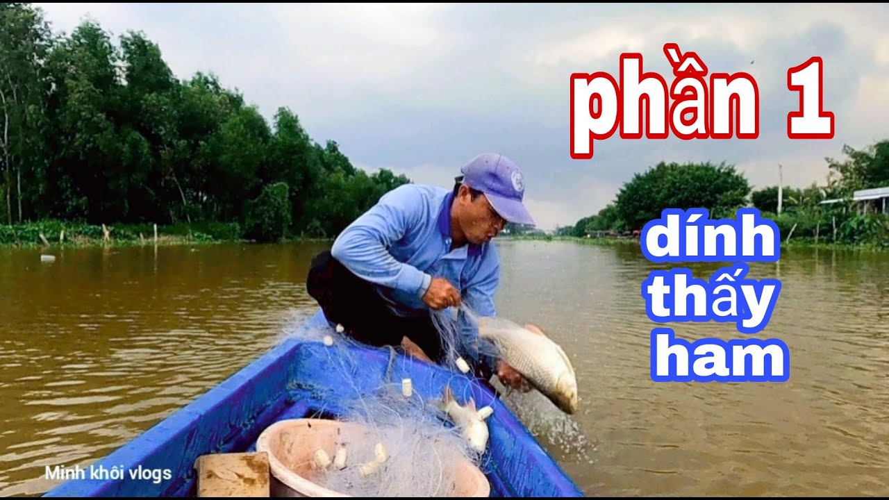 Minh khôi giăng lưới 3 màng lỗ 7 phân dính toàn cá bự thấy ham | Cách giăng lưới của Miền tây