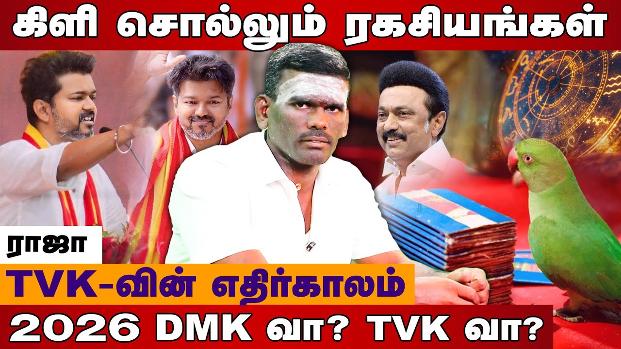 TVK வின் எதிர்காலம் இப்படி தான் இருக்கும் | புட்டு புட்டு வைத்த கிளி ஜோசியம்