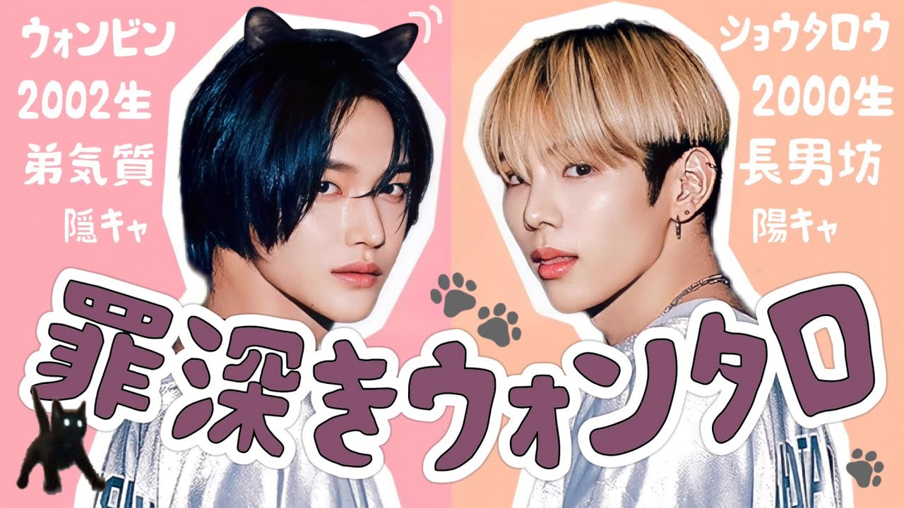 ニホンカワウソに黒猫が懐きました【RIIZE】