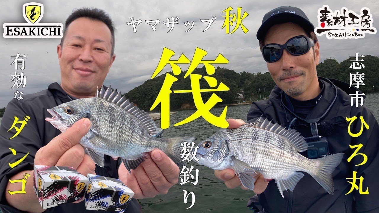 【おしえて！えさきちさん】ヤマザップ秋の数釣りで有効なダンゴ紹介