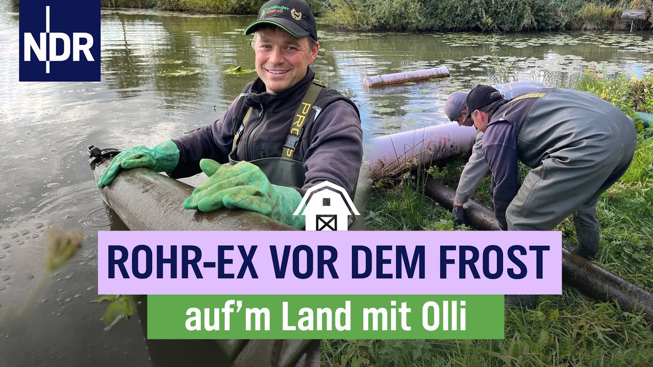 Obstbauer Olli macht die Apfelplantage winterfest | Folge 18 | NDR auf'm Land mit Olli