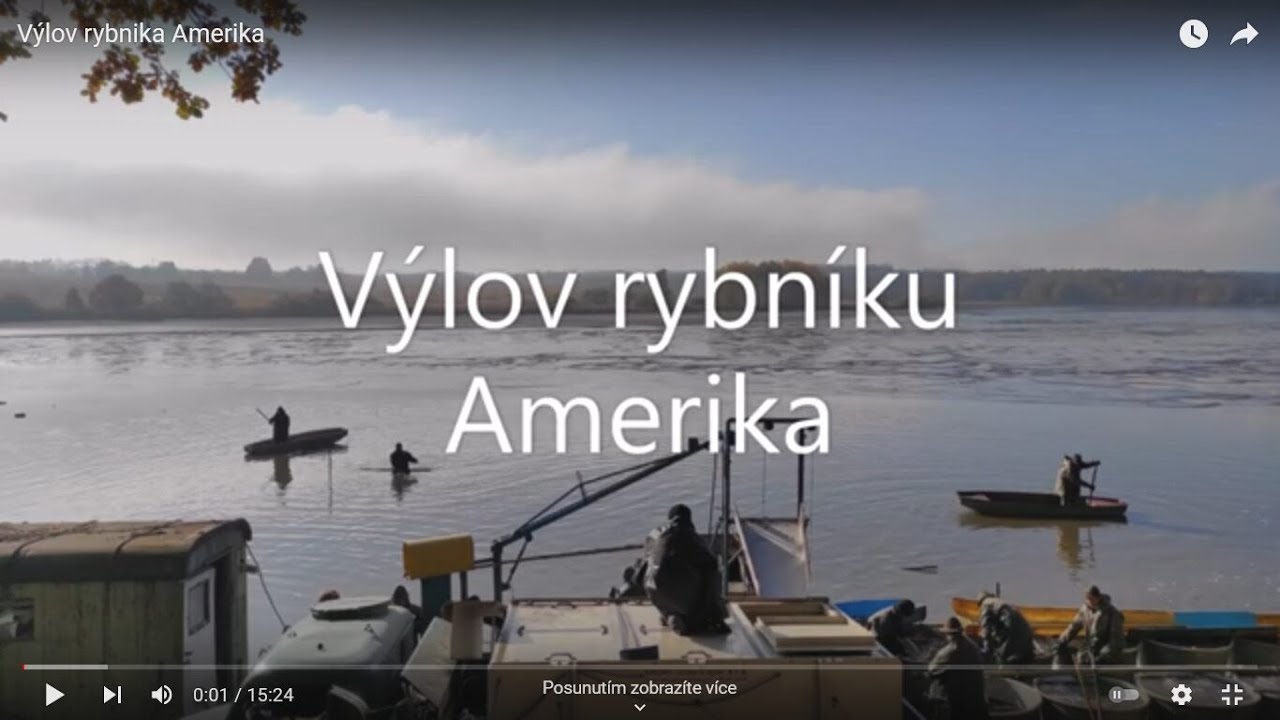 Františkovy Lázně. Výlov  rybníka Amerika