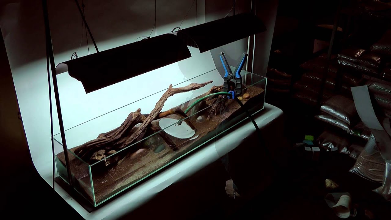 'Tributary' Aquascape by James Findley - The Making Of
