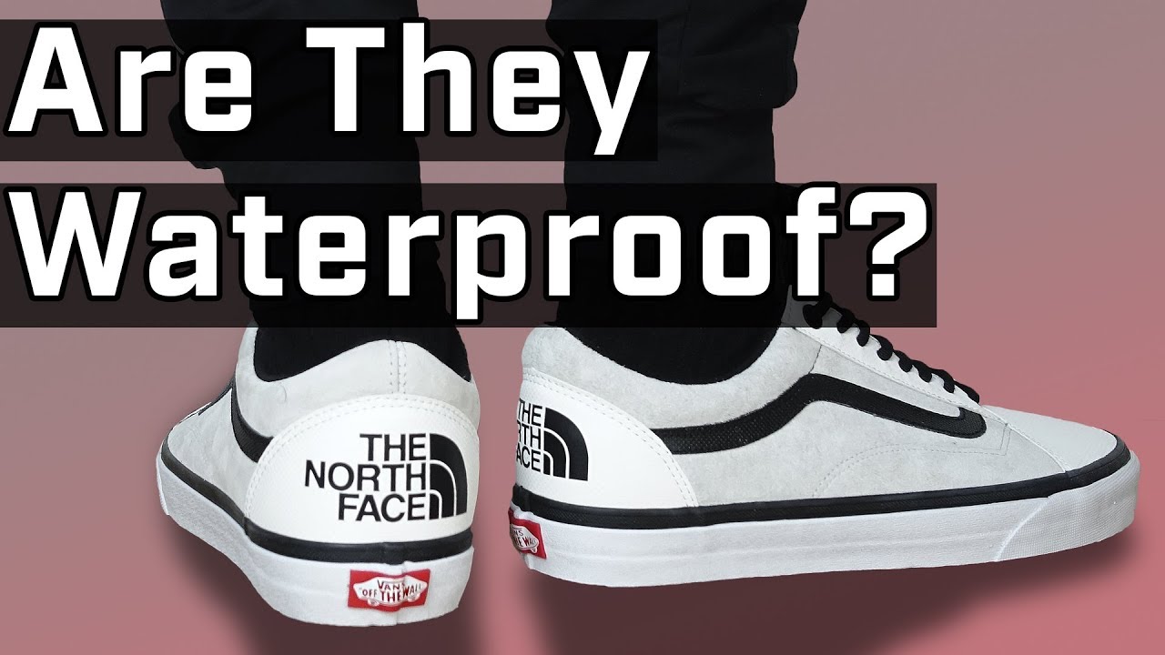 Vans + The North Face Old Skool REVIEW