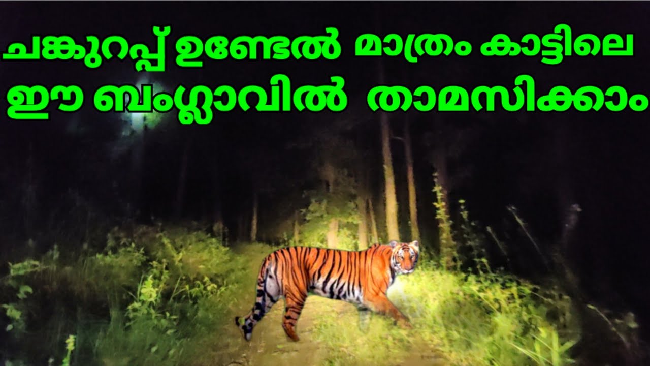 ചങ്കുറപ്പ് ഉണ്ടേൽ മാത്രം കാട്ടിലെ ഈ ബംഗ്ലാവിൽ താമസിക്കാം|Mount Stuart Bunglow|Anamalai Tiger Reserve