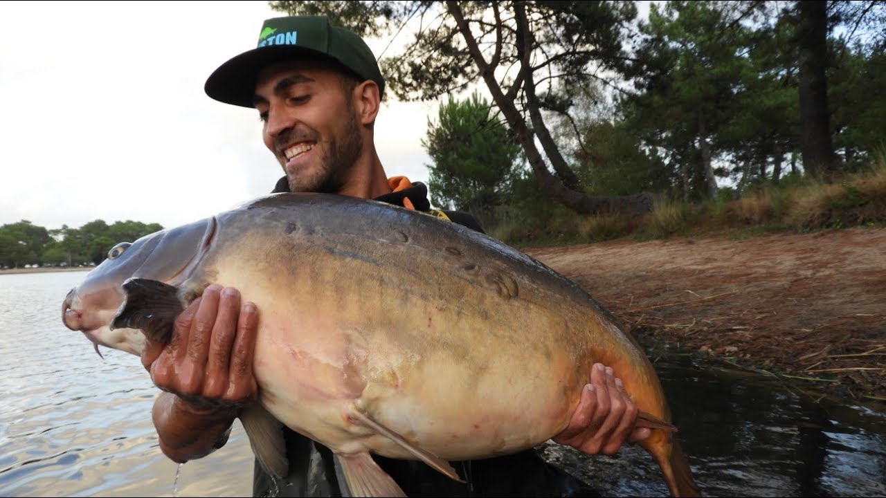 ⚫ CARPFISHING EN FRANCIA, Pesca de la carpa en aguas p&uacute;blicas ! Cap&iacute;tulo. 1