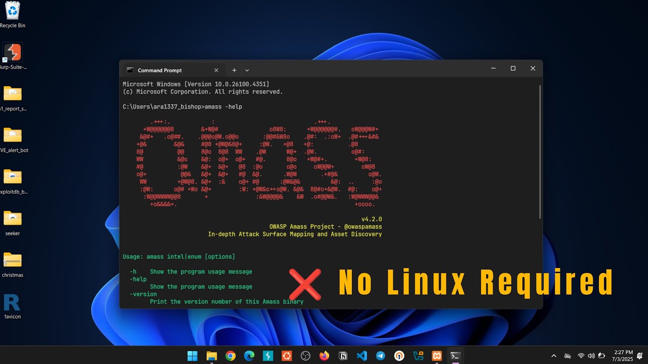 How to Install Amass on Windows 11 | Subdomain Enumeration Tool