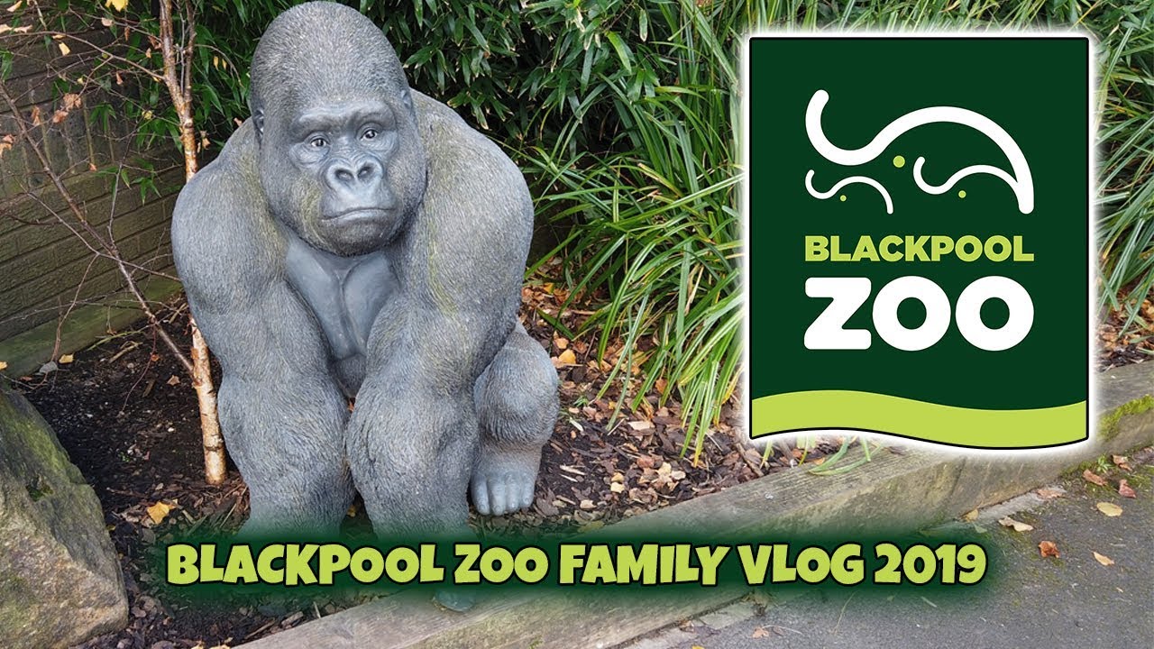 Blackpool Zoo Family Vlog 2019 4k