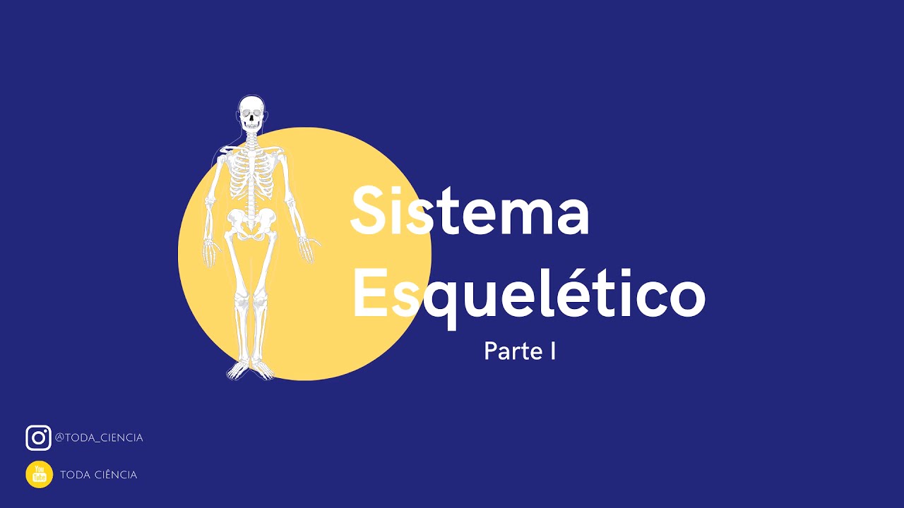 Sistema Esquelético: Conceito e Funções - Parte I