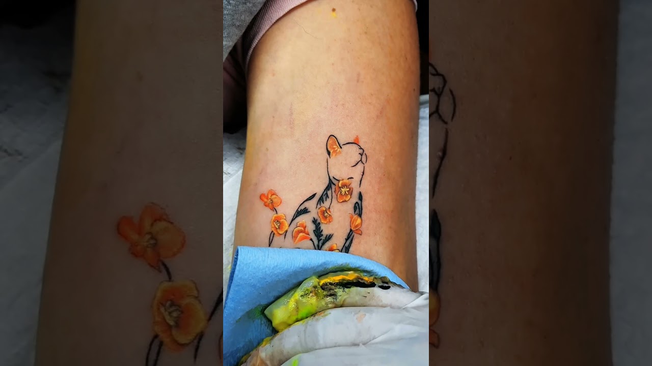 Massys House Ink Sacando la magia!!!!