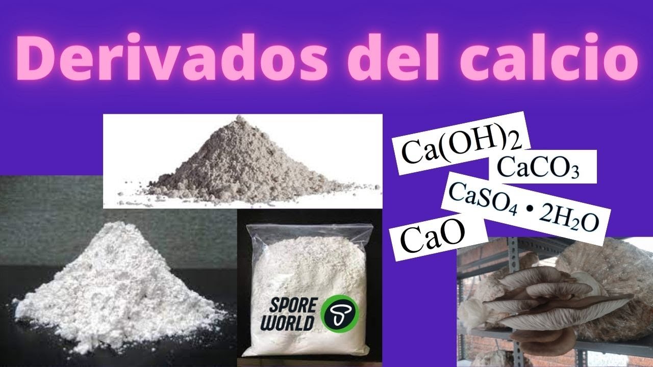 ADITIVOS  - EXPLICADO - HONGOS Y SETAS CON RESULTADOS PROFESIONALES