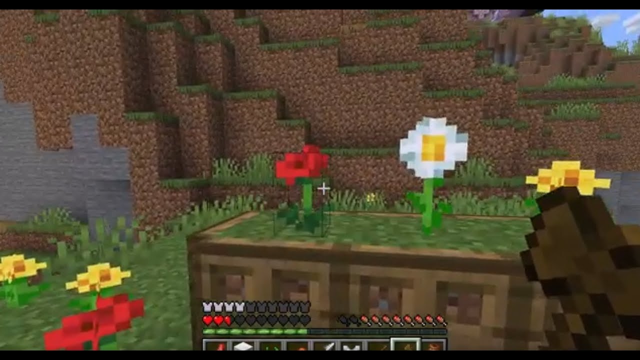 First video!!