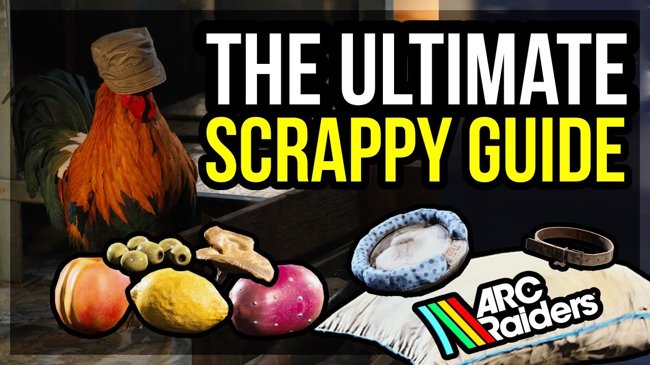 Upgrade Scrappy to MAX Level Fast! - ARC Raiders