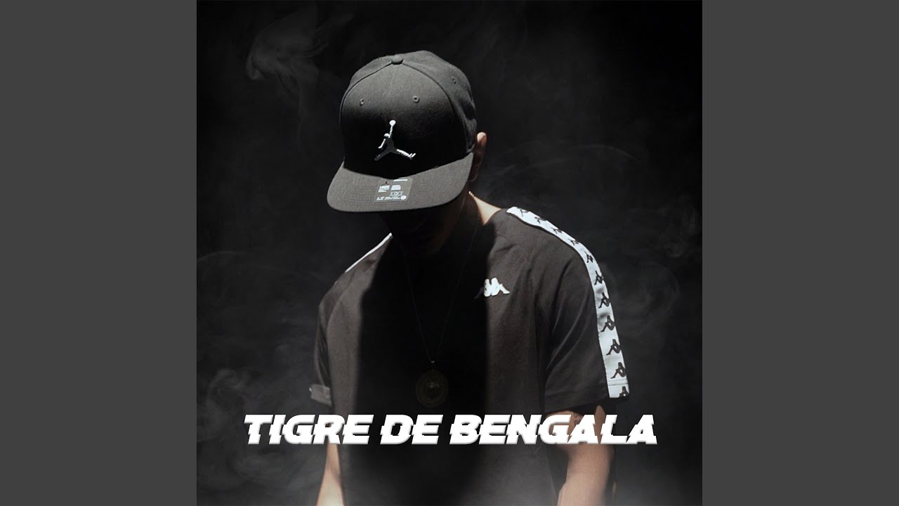 Tigre De Bengala