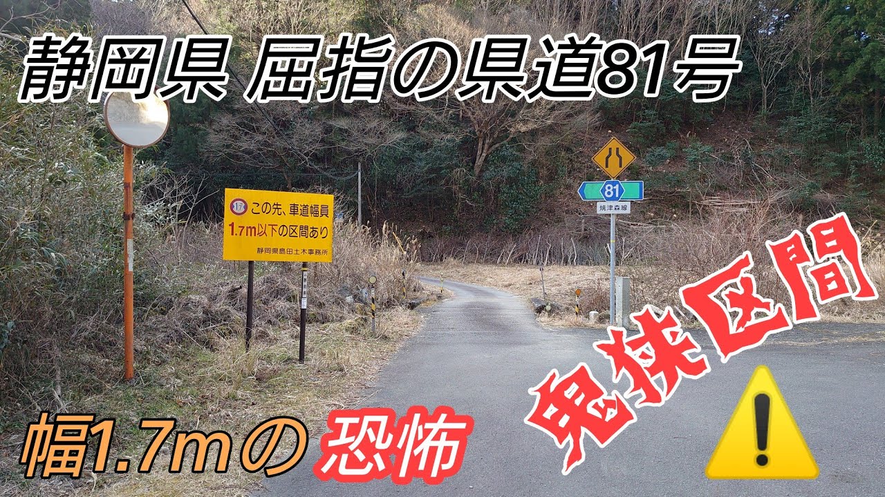 【険道】静岡県屈指の鬼狭県道81号 4分間の恐怖体験ツアー⚠️【4K】