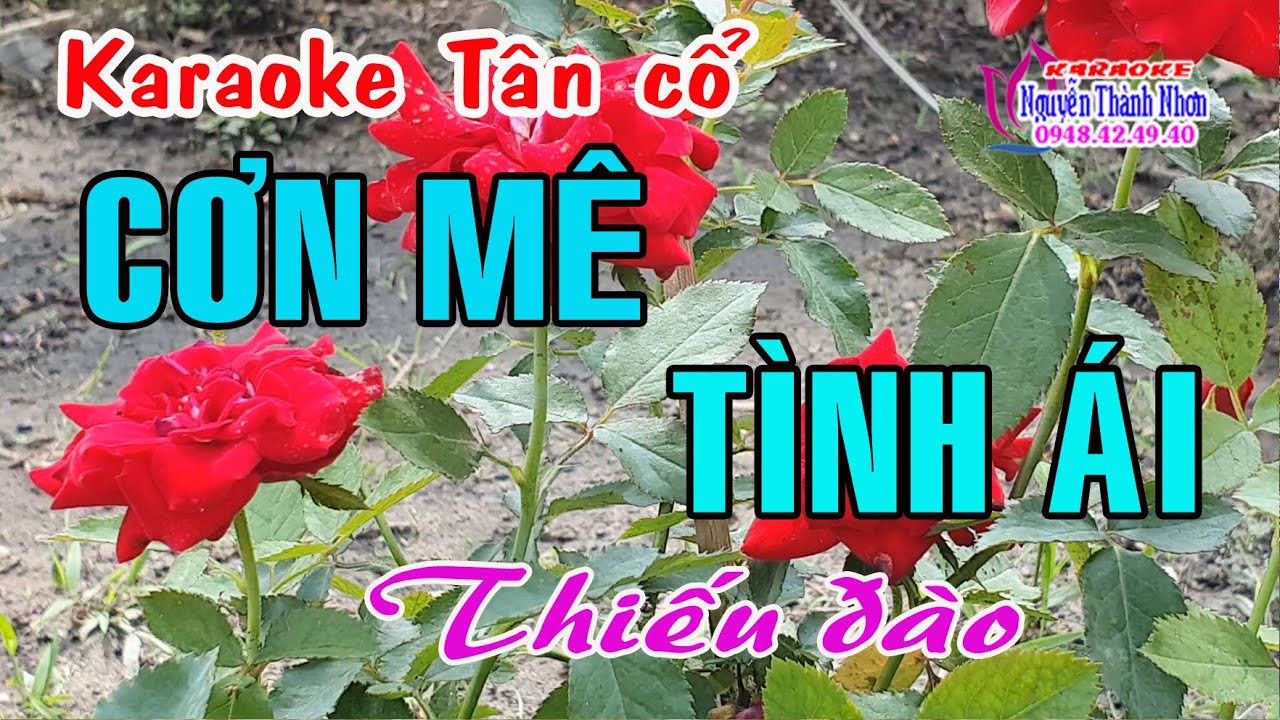 Karaoke tân cổ CƠN MÊ TÌNH ÁI - THIẾU ĐÀO [Hát cùng Nghệ sỹ Minh Vương]