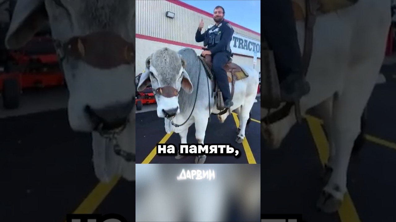 Абсолютно легальное транспортное средство в Огайо