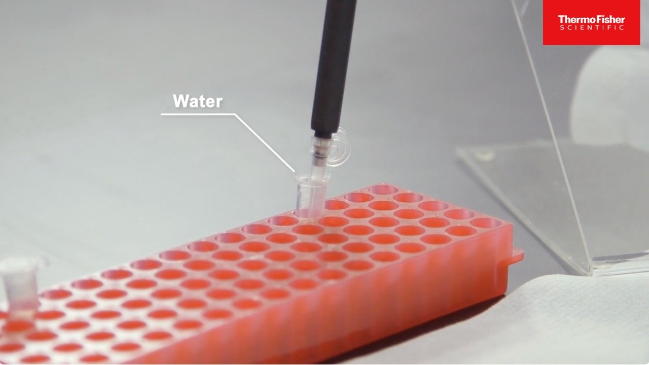 How TOPO PCR Cloning Works: Easy DNA Cloning with Life Technologies