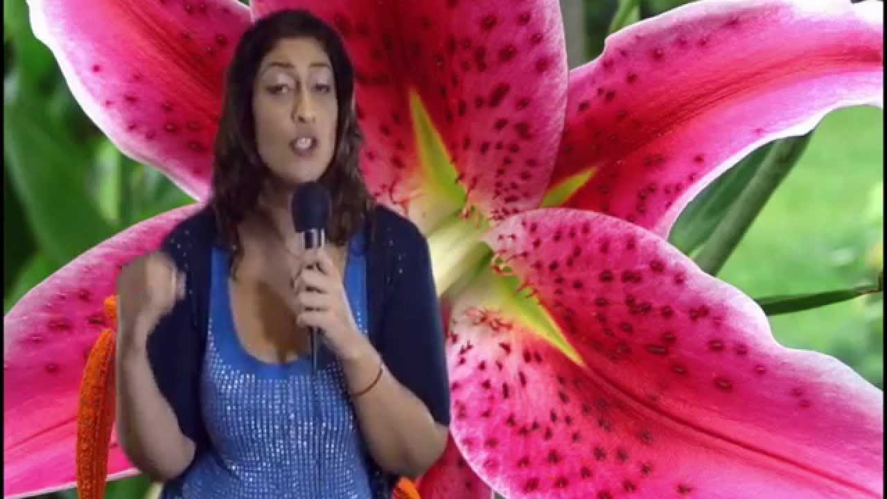 Western Astrology vs Vedic Astrology. Astrology FAQ by Nadiya Shah