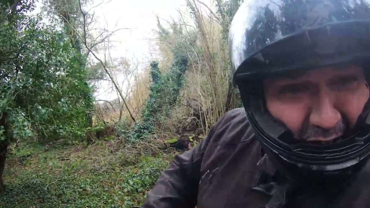 Surrey Green Lanes / Back Out / Come Off 2 Times