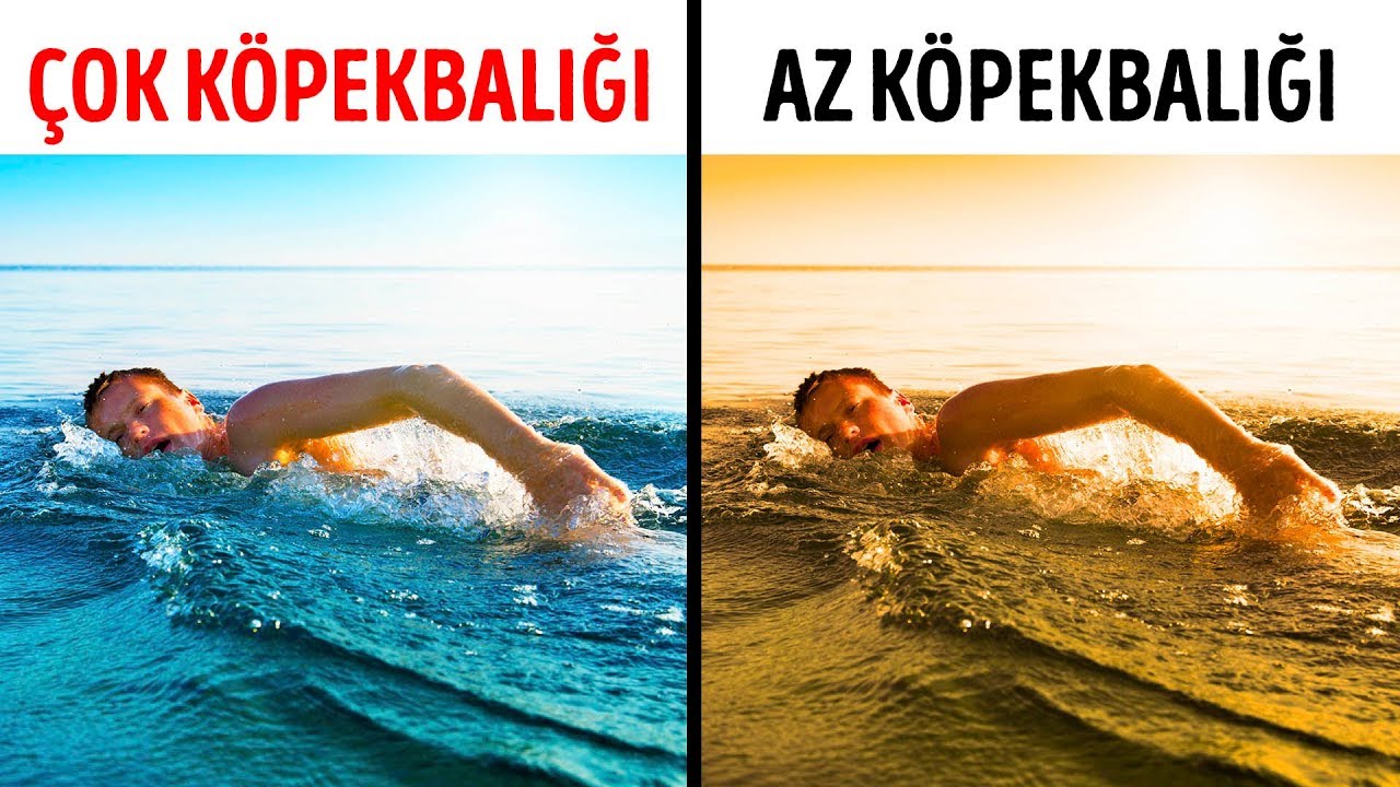 Köpek Balıklarından Kurtulmanın Tek Yolu
