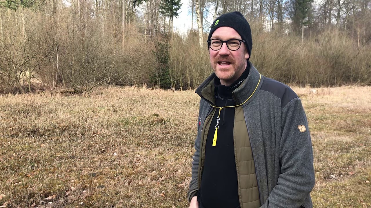 Kildeengen i Bidstrup Skovene
