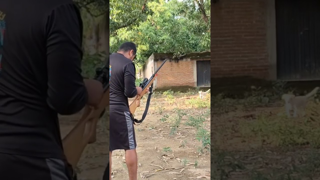 Rifle nitro pist&oacute;n Benjamin trail  xl 6.35 🎯